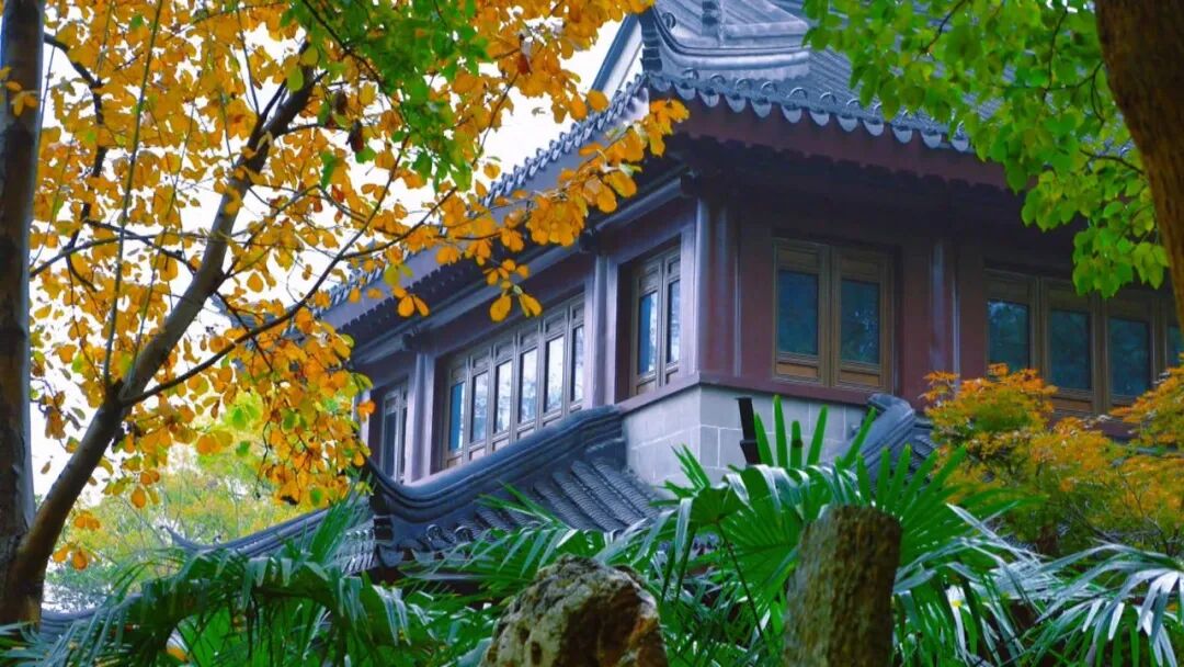 百年中公园,焕新亮相!