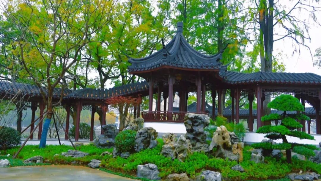 百年中公园,焕新亮相!