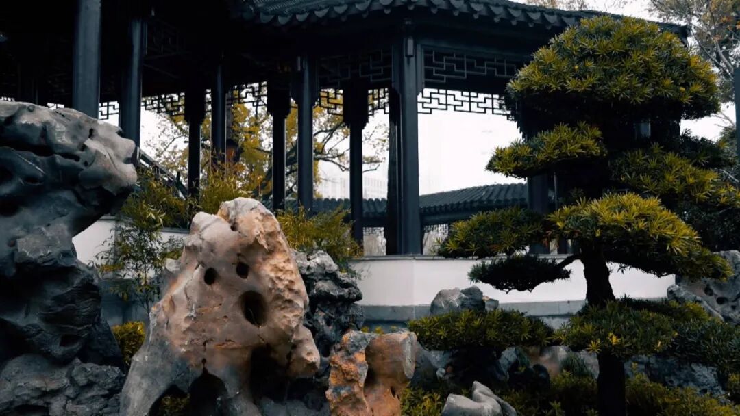 百年中公园,焕新亮相!