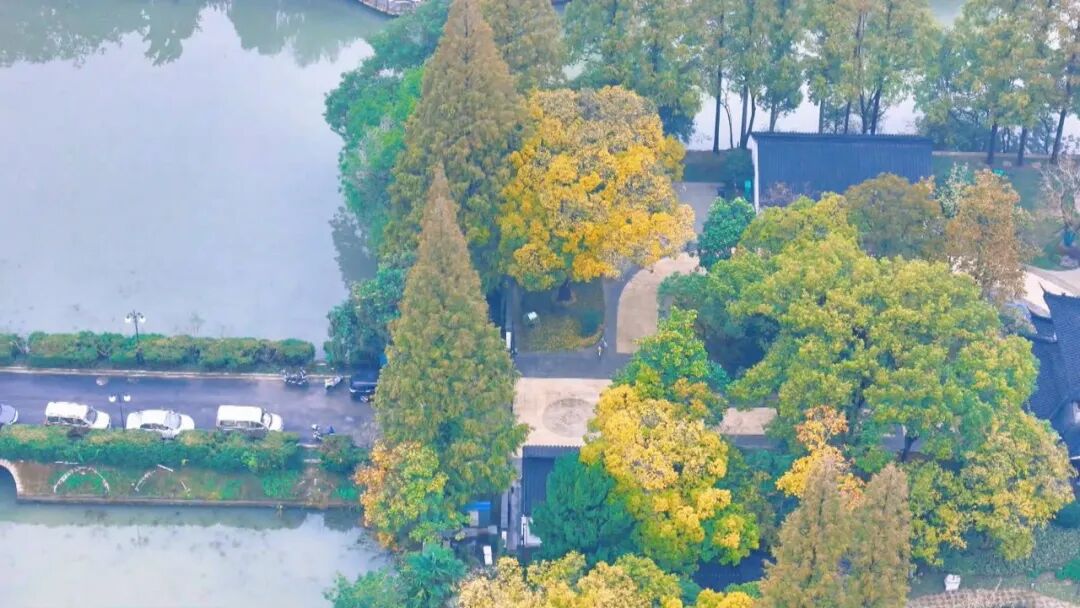 百年中公园,焕新亮相!