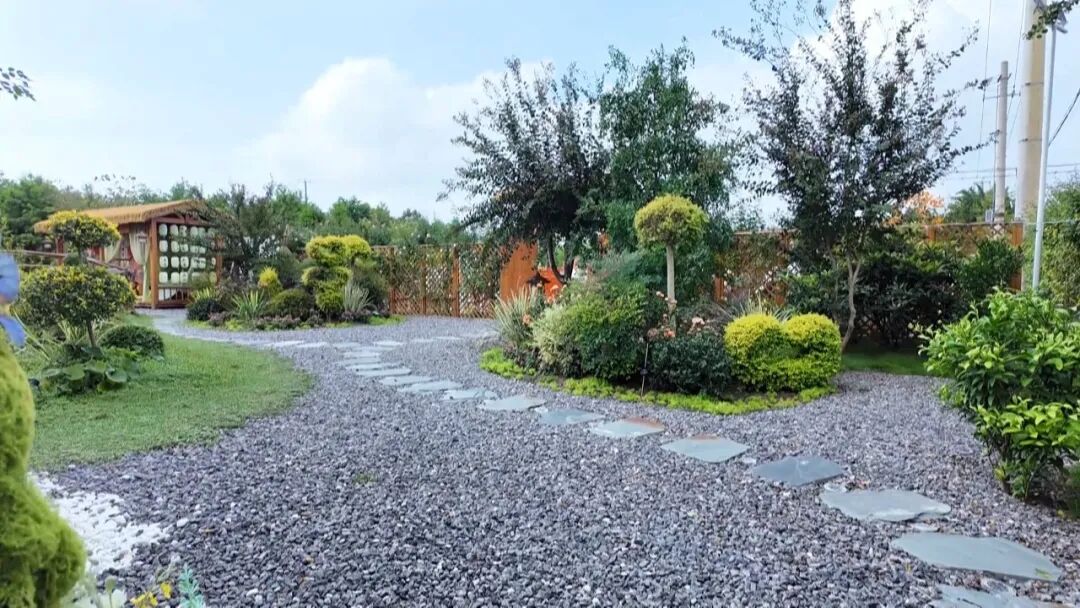 美出圈!南通小伙返乡打造“市外桃源”