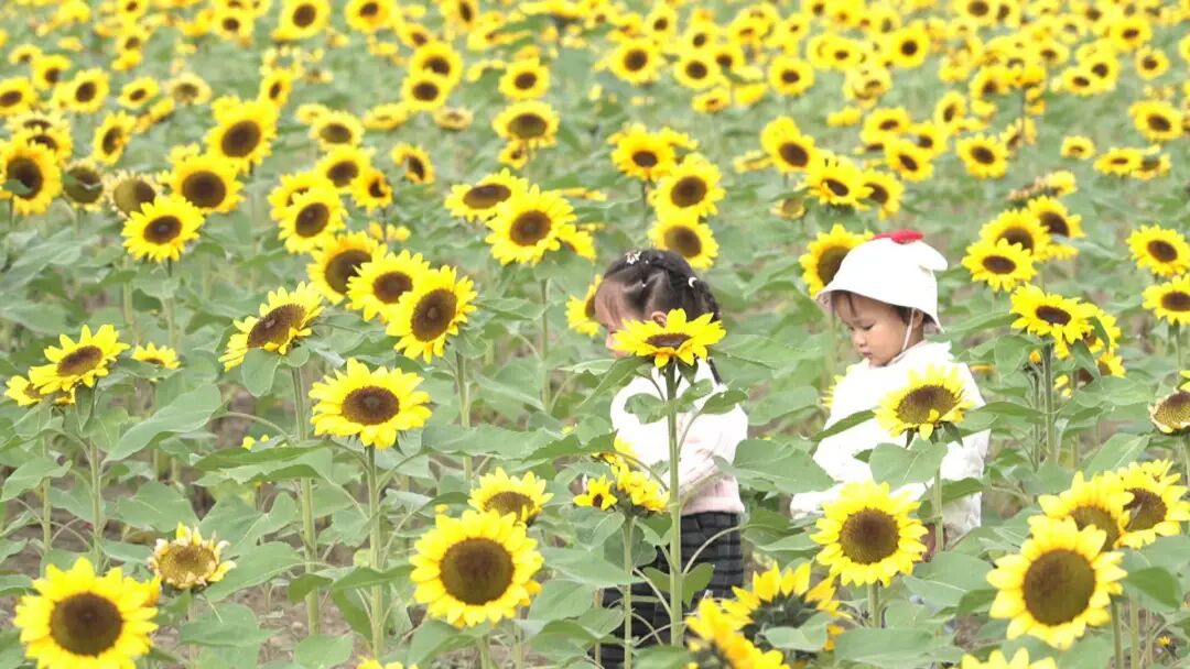 “流动的油画”！长江畔，又一网红打卡点！