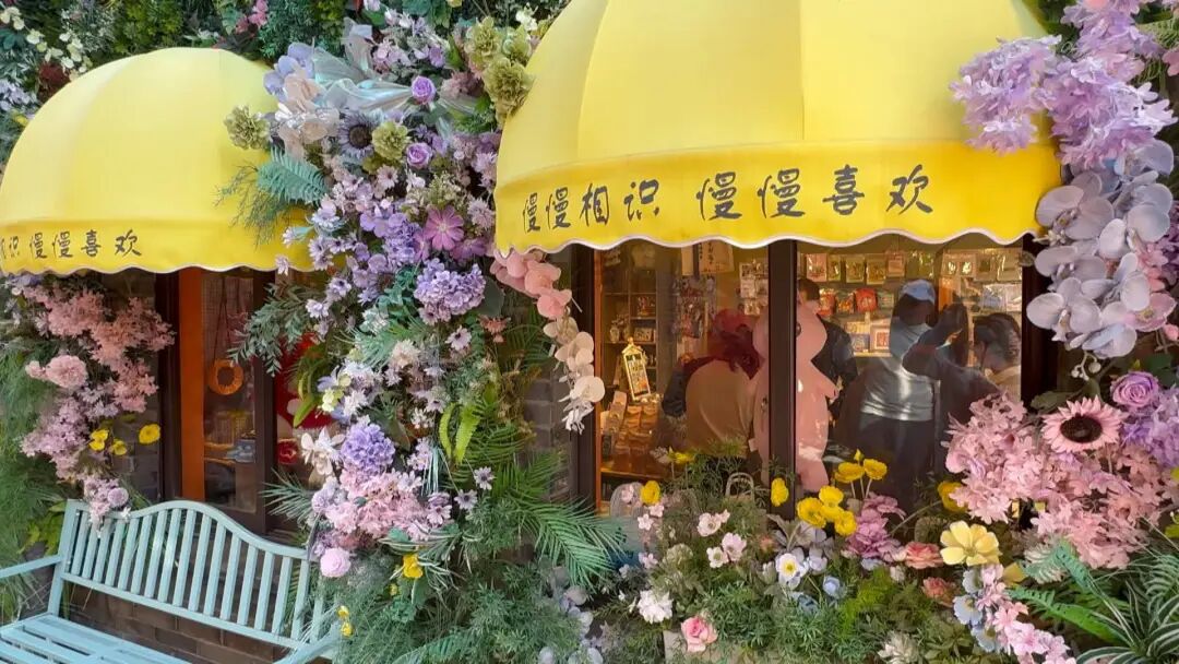 逛唐闸古镇,赏秋日菊花