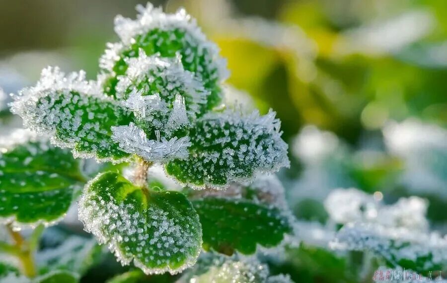 寒潮预警!南通最低气温降至0℃!