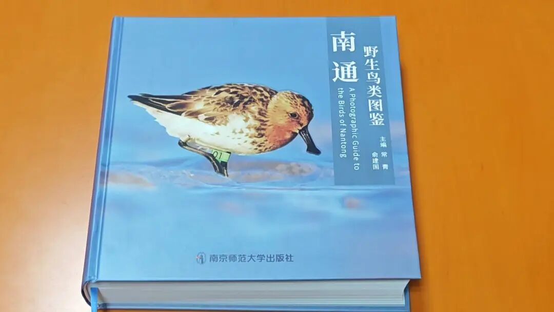 《野生鸟类图鉴》正式出版！