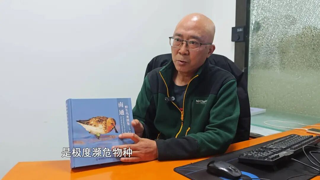 《野生鸟类图鉴》正式出版！