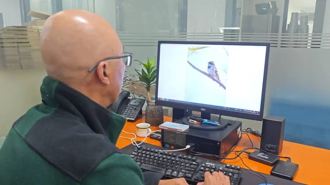 《野生鸟类图鉴》正式出版！