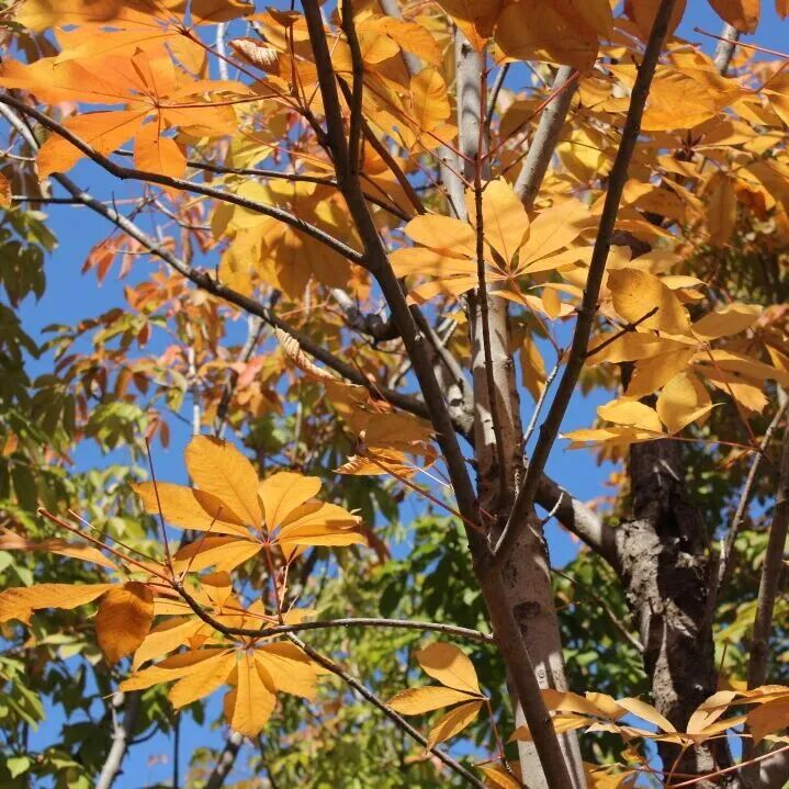 南通，你“变”了!