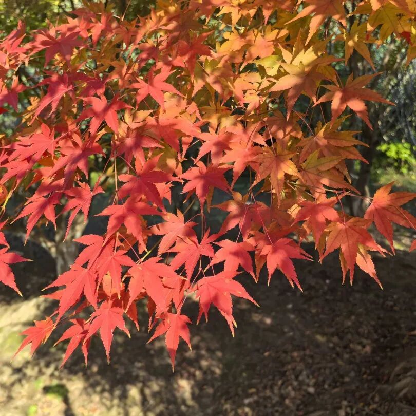 南通，你“变”了!