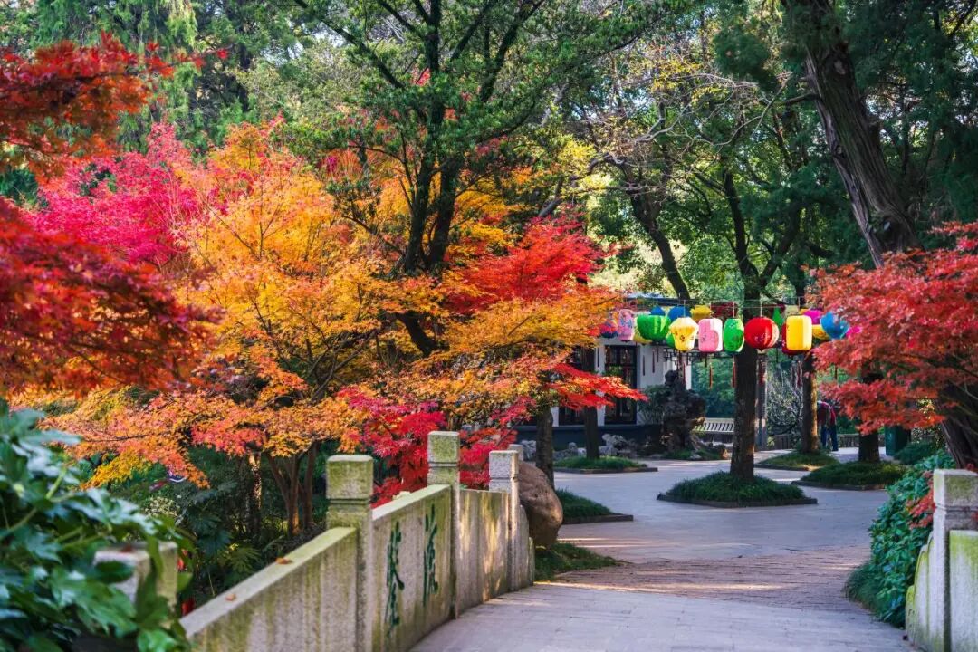 南通，你“变”了!