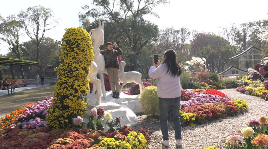 2025年11月21日，南通尚未入冬