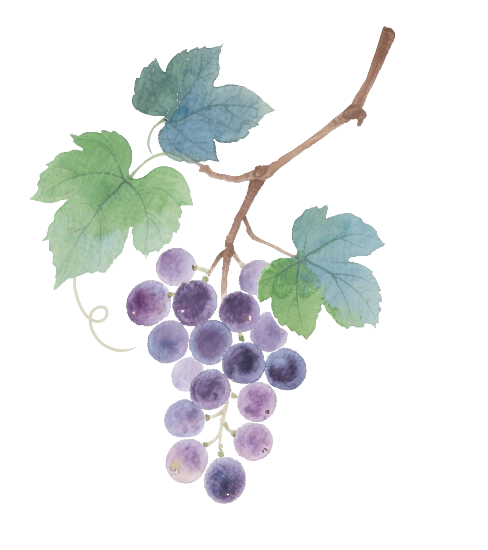 12月特价机票来了！南通出发低至200多！