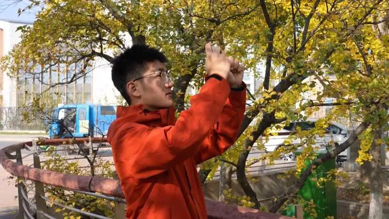 11片银杏叶卖出了149元钱,快去坚捡!