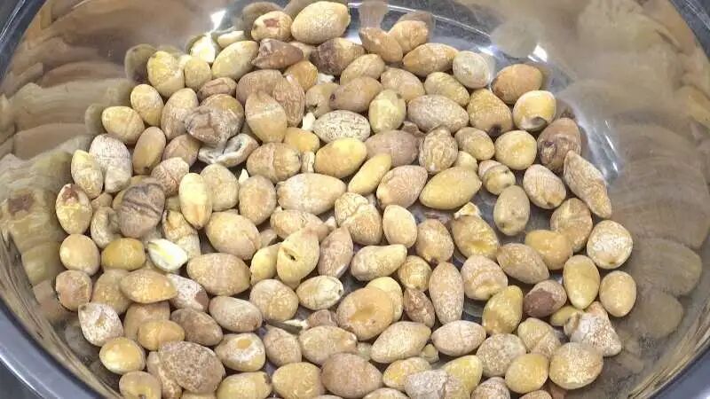 11片银杏叶卖出了149元钱，快去坚捡！