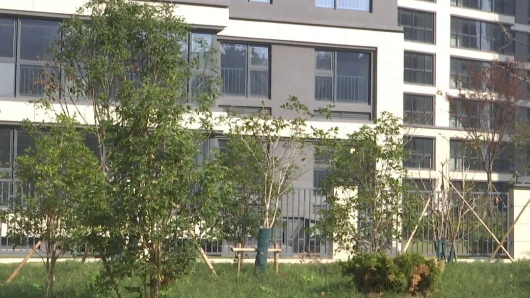 南通五龙云璟小区南侧小游园建成开放！