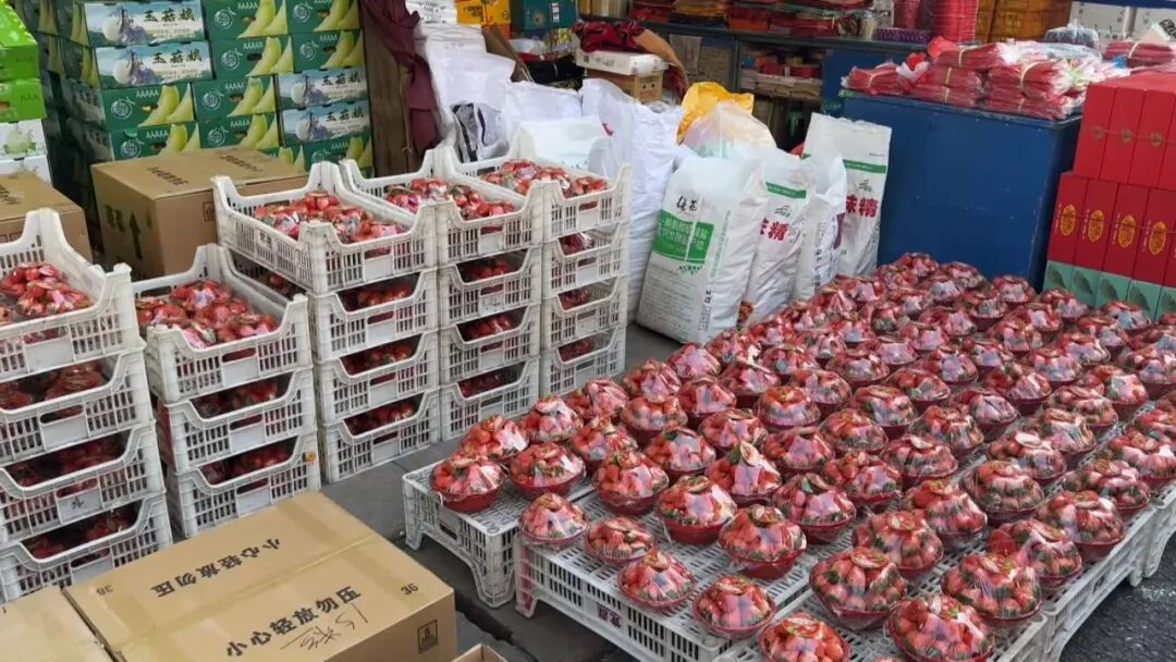草莓批量上市，丹东草莓受青睐