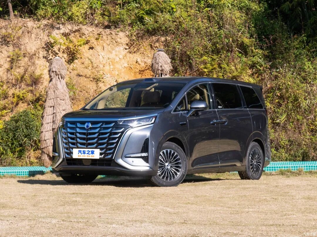 腾势D9巴西预售价约105万元？！终于轮到进口商羡慕我们了！