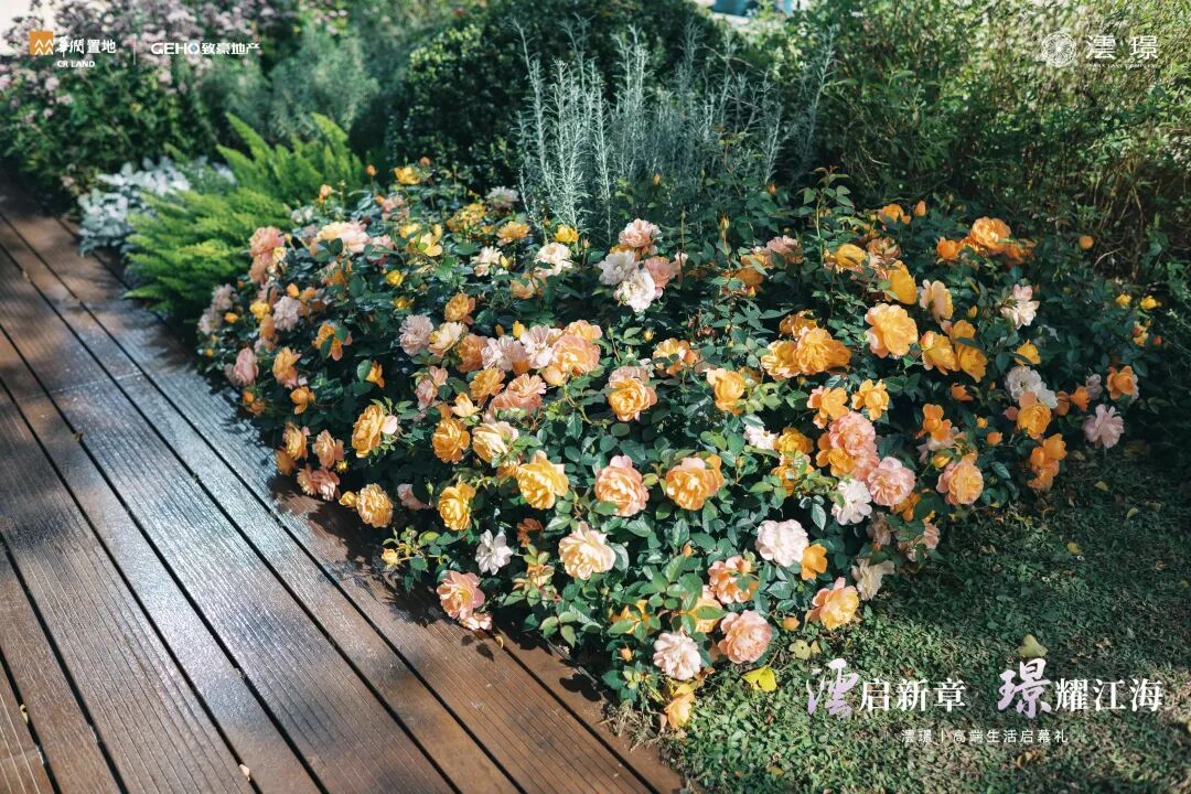 南通豪宅,现象级交付!