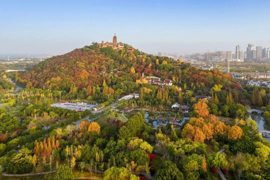 进入最佳观赏期，南通人速去打卡→