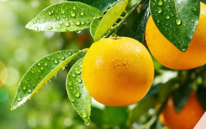 今天起,连续3天!南通又有打卡好去处了!