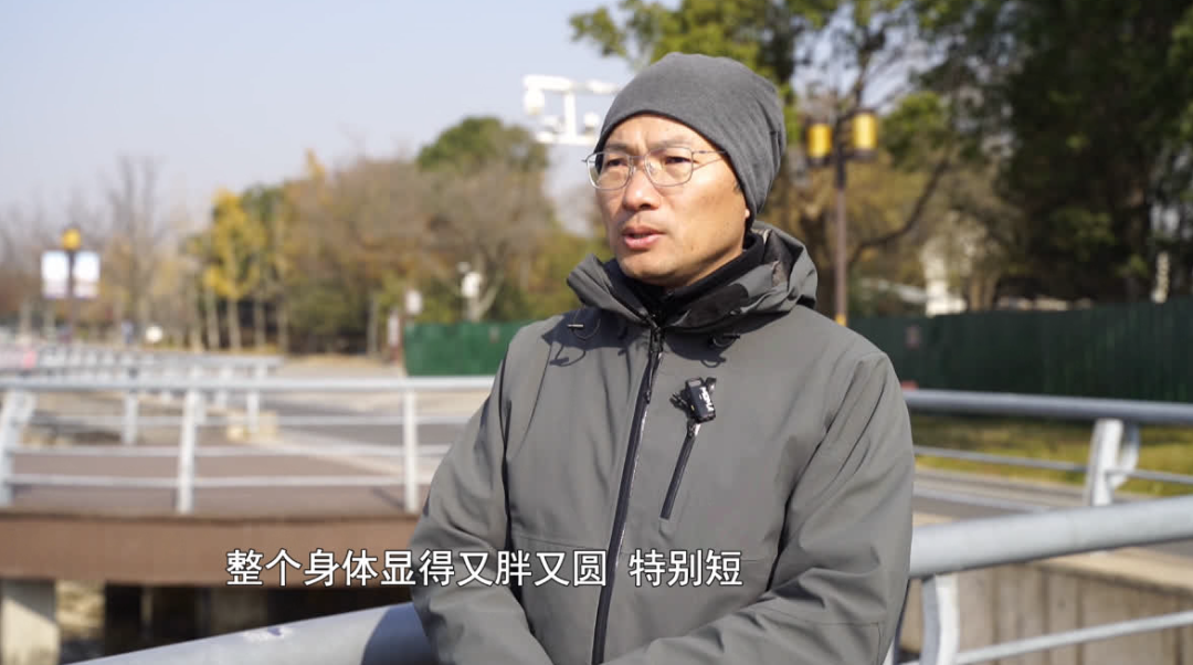 南通“顶流”,疑似有喜!