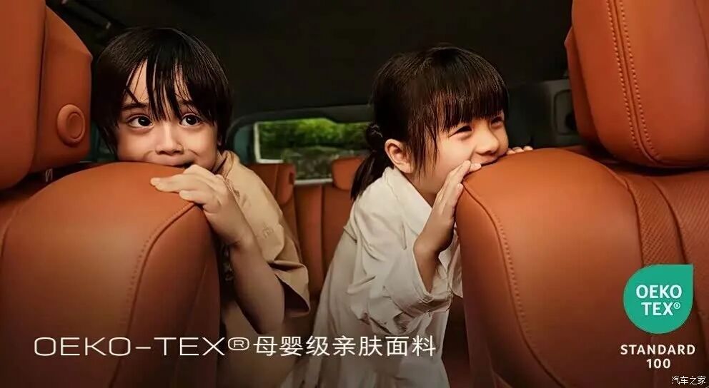 MPV就是比SUV更高端?能把问界M9装进肚里?这车有点豪!