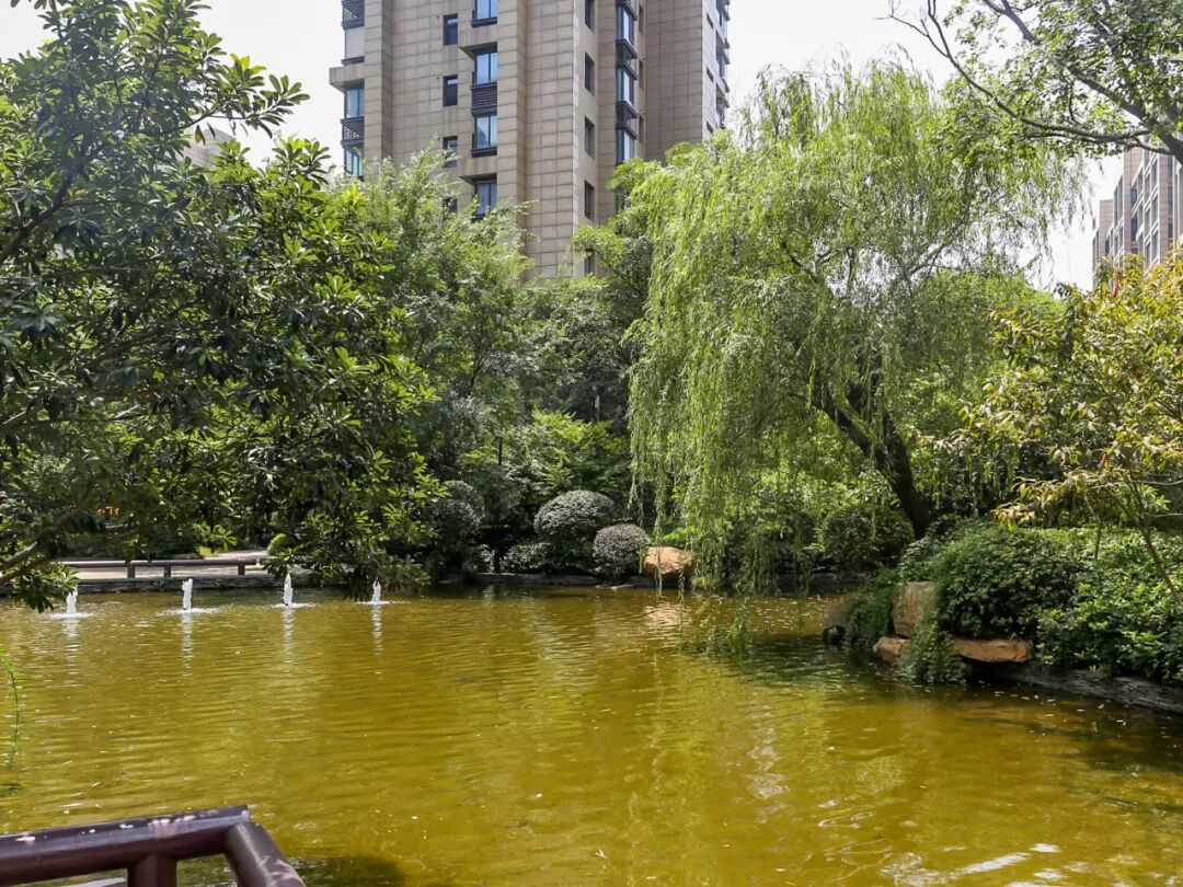 南通知名楼盘,成功换上招商物业!