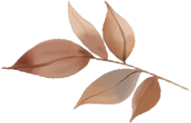 美翻了!南通又一网红打卡点