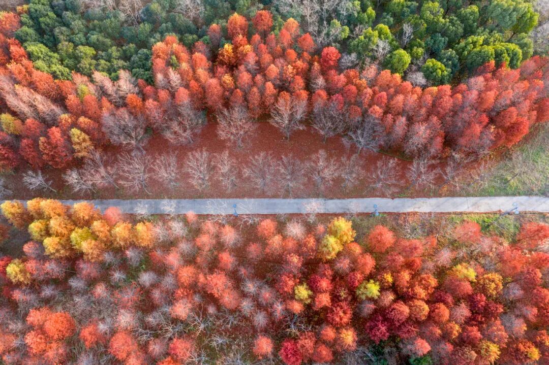 美翻了!南通又一网红打卡点