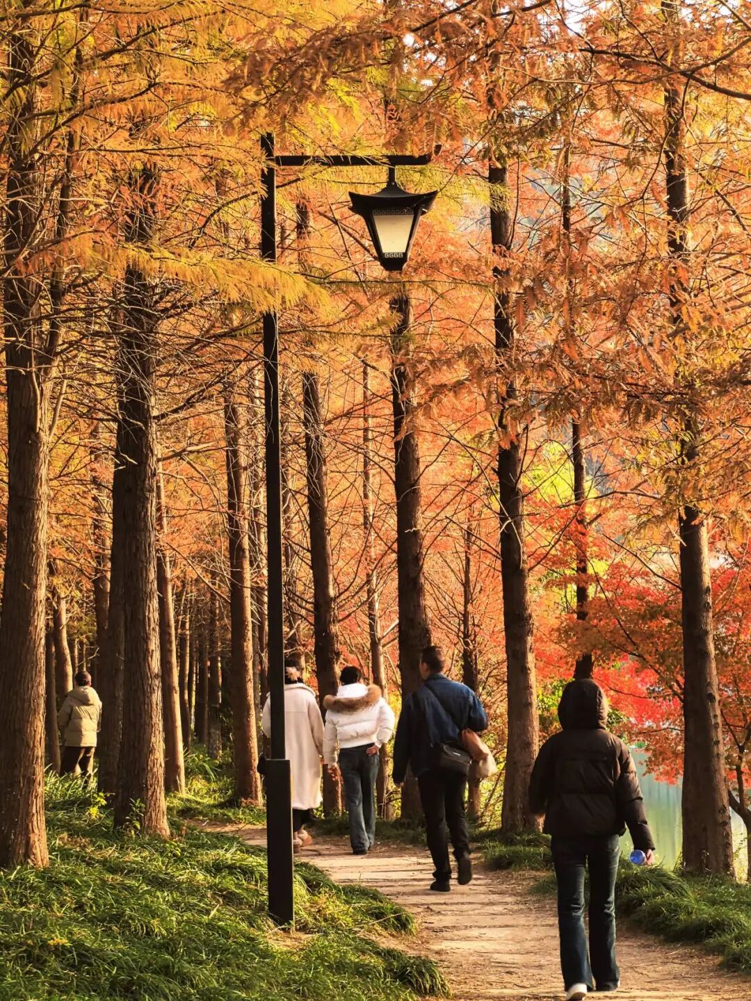 美翻了!南通又一网红打卡点