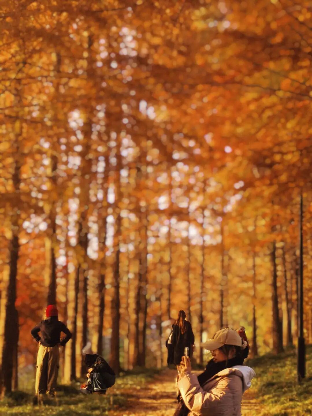 美翻了!南通又一网红打卡点