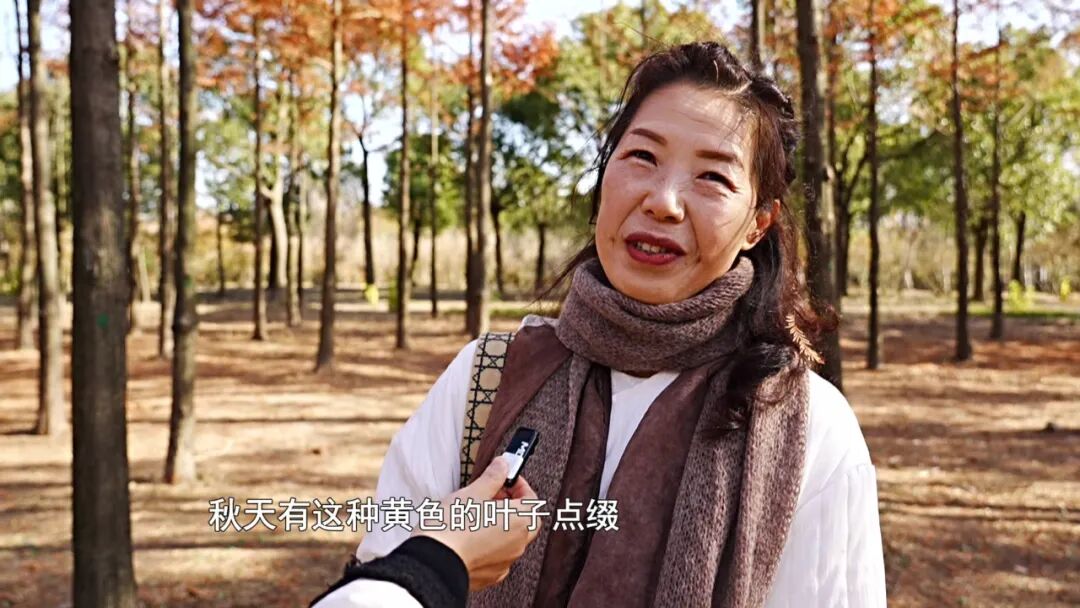 美翻了!南通又一网红打卡点