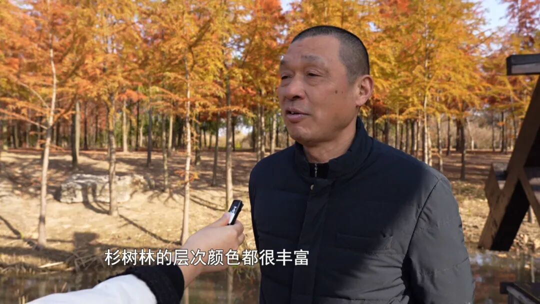 美翻了!南通又一网红打卡点