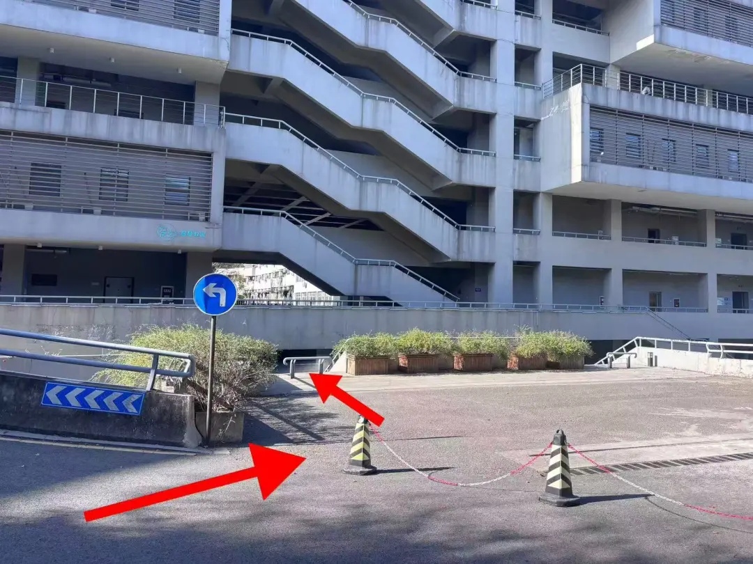 高考资讯 | 江苏省2026年舞蹈类、表(导)演类专业省统考面试考点介绍及考前提醒