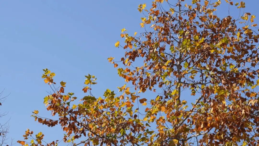 20℃！南通又要升温了！