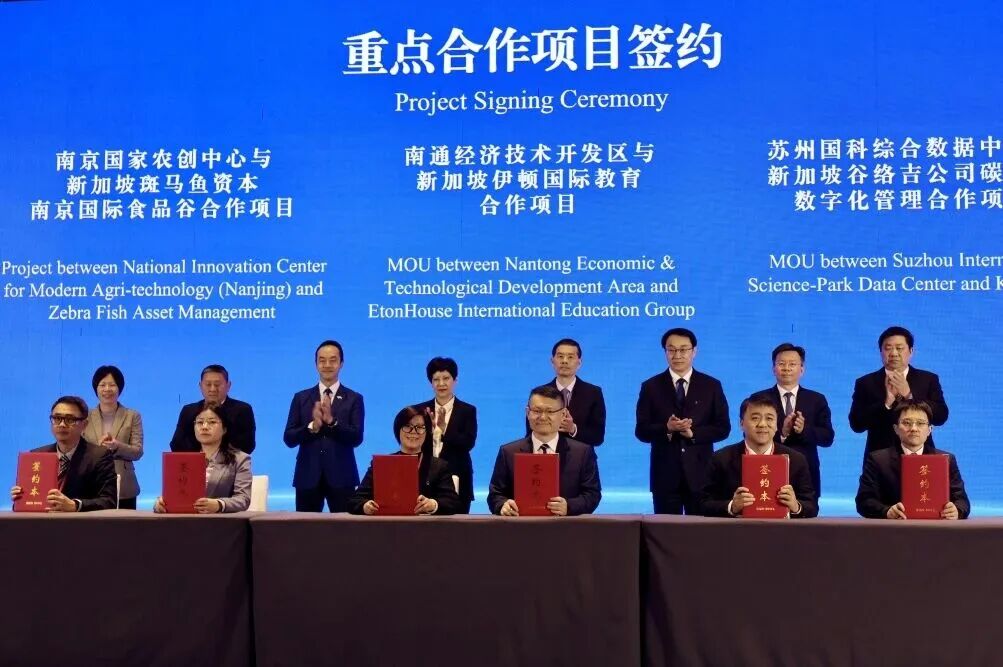 明年春招生!南通全新国际幼儿园,来了!