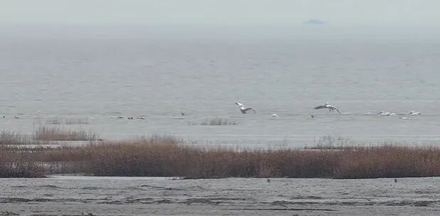 又有国宝来南通“打卡”!