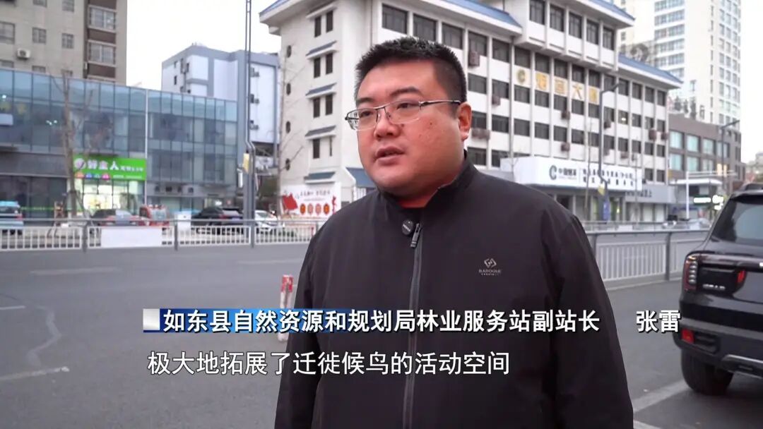 又有国宝来南通“打卡”！