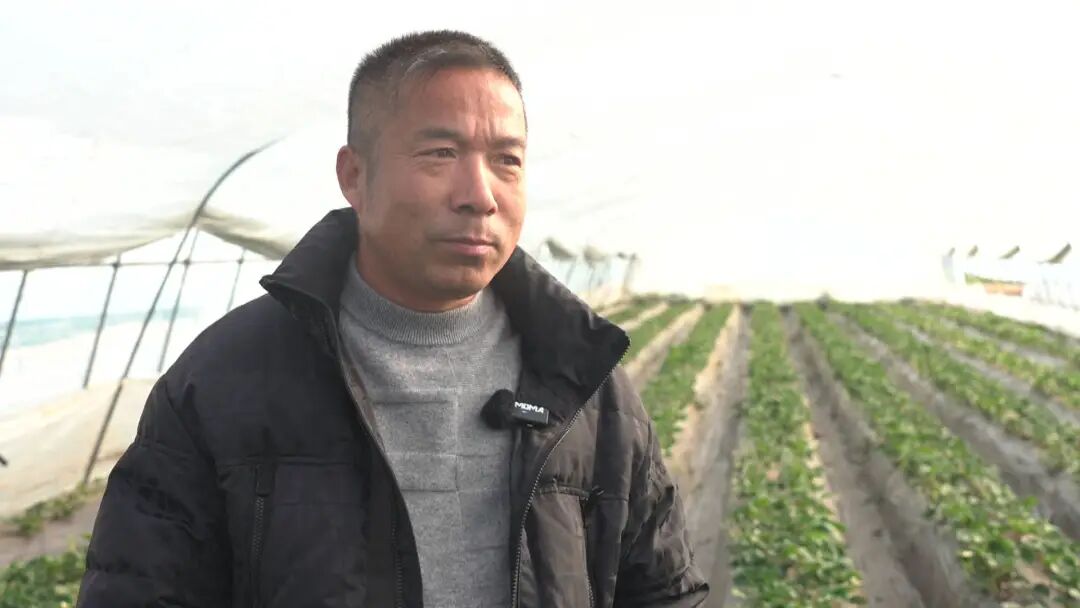 正大量上市!不少南通人超爱吃