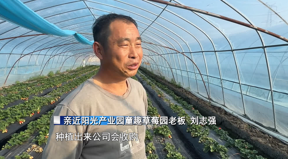 正大量上市!不少南通人超爱吃