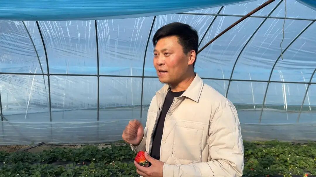 正大量上市!不少南通人超爱吃