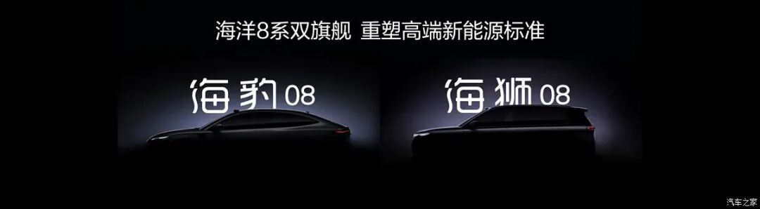 比亚迪海洋网双旗舰！对开式无边框车门？等等明年新车！