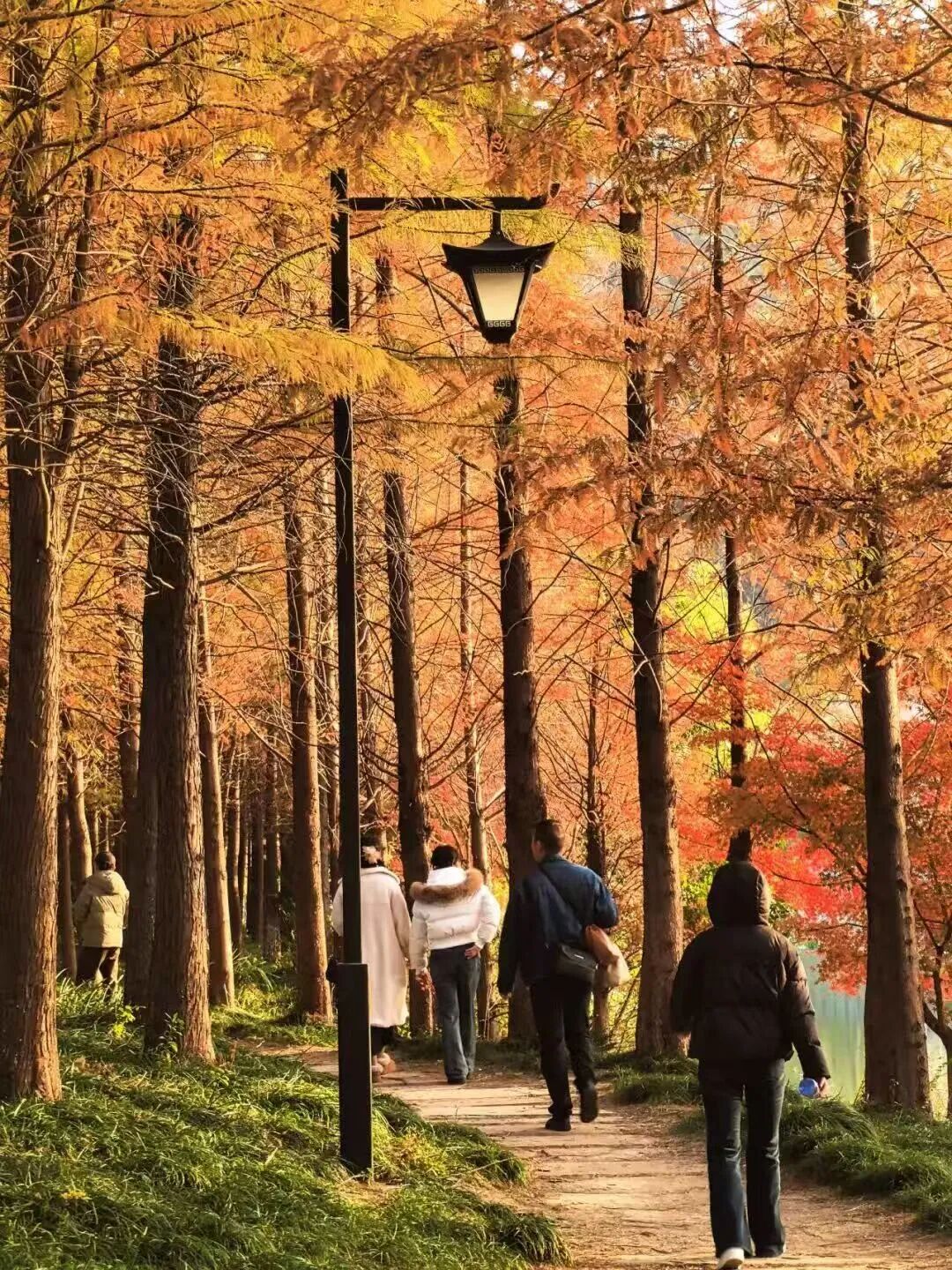 直降8℃以上！南通明天正式进入