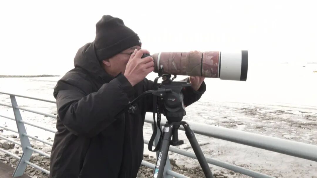 创今冬记录！南通滨江公园，罕见一幕