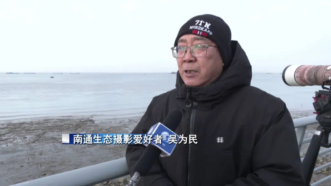 创今冬记录！南通滨江公园，罕见一幕