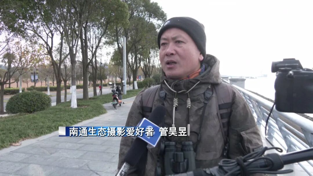 创今冬记录！南通滨江公园，罕见一幕