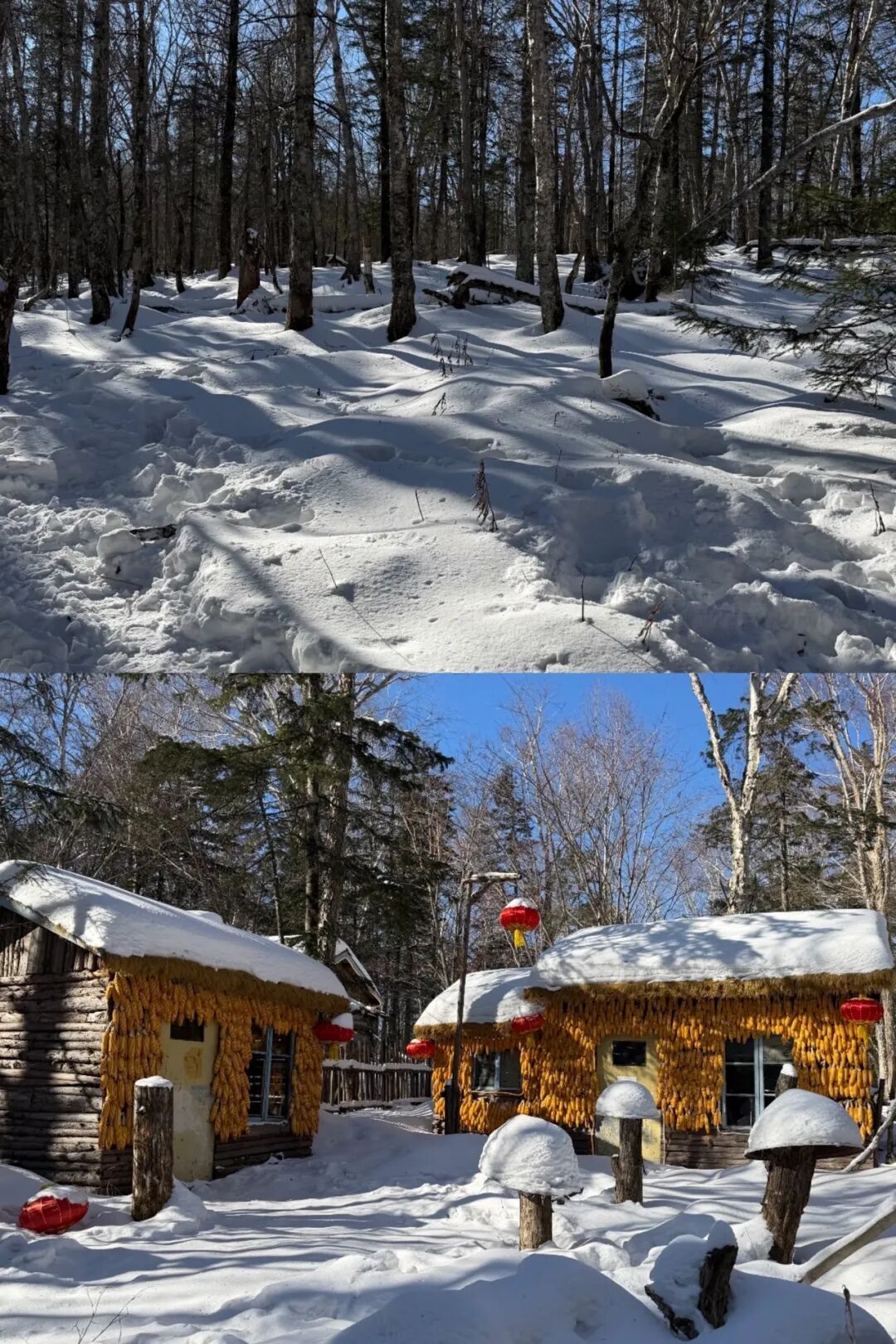 超火爆！不少南通人已提前预定