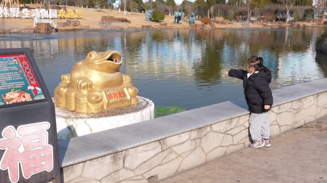 29584.5元！南通森林野生动物园，又捐了！