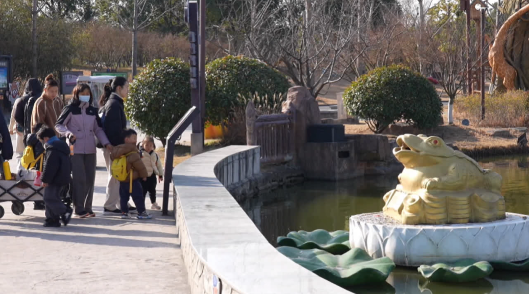 29584.5元！南通森林野生动物园，又捐了！