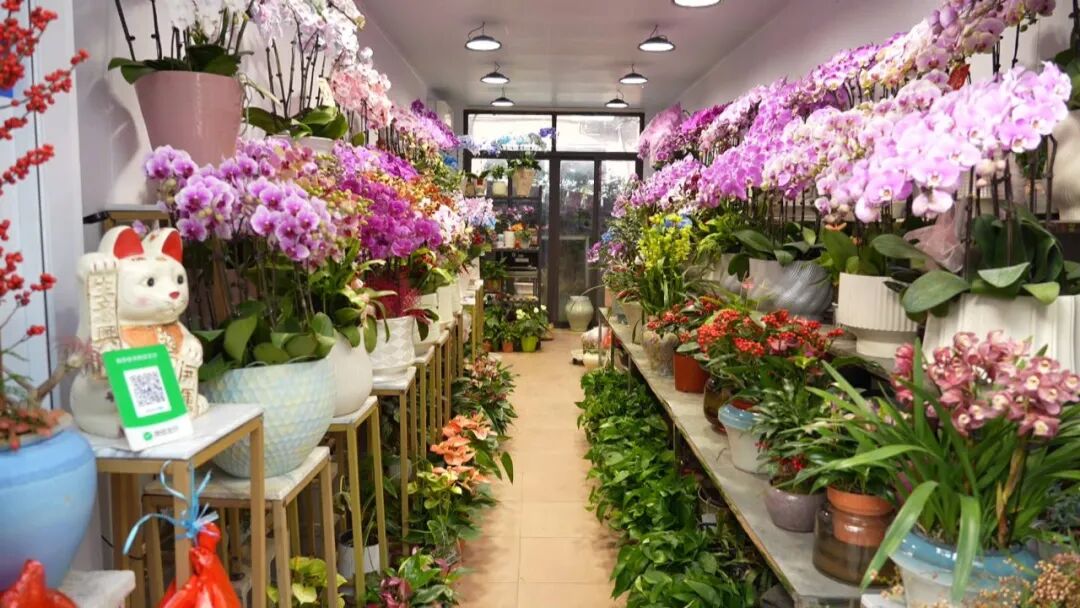 火了!一大波人将涌向南通这些地方!